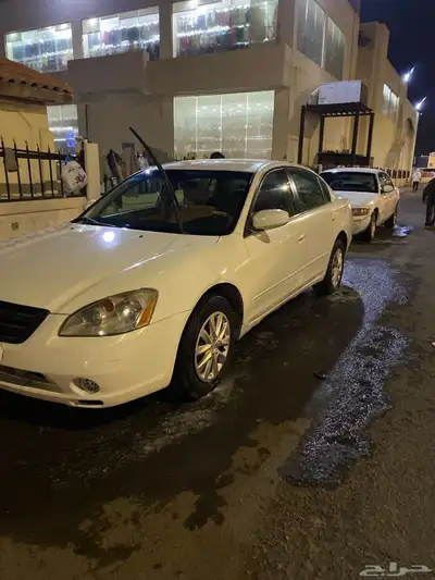 التيما 2007 1