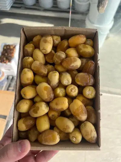 خلاص القصيم لقاط 2