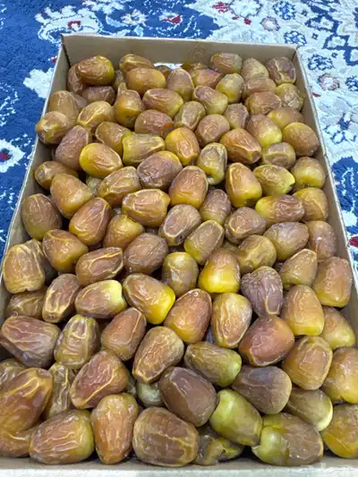 رطب جلكسي تمر سكري 1