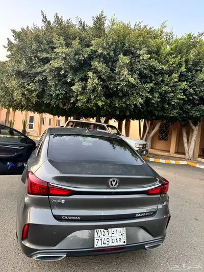 شنجان ايدو 2022 1