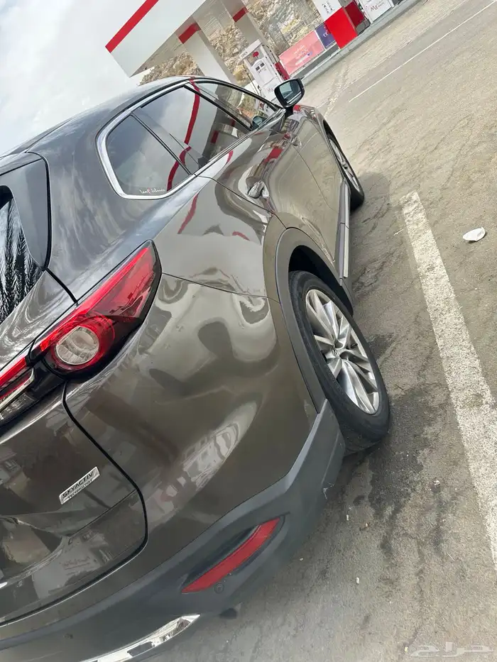 بلجرشي 8