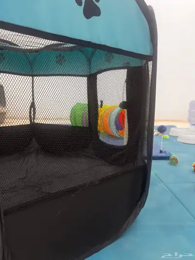 فندقة قطط فاخرة في الرياض 6