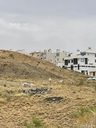 بعير فحل ضايع في المنسك 1