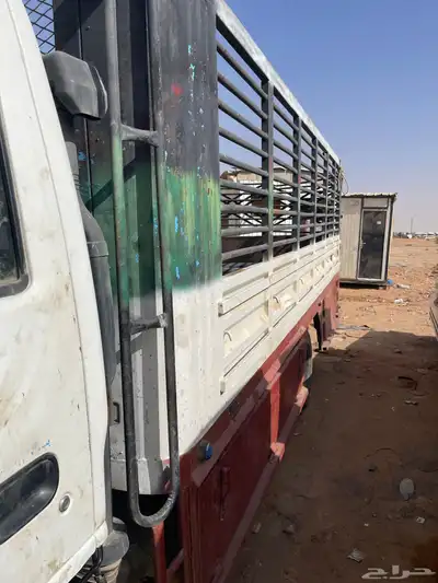 صندوق ديانة 0