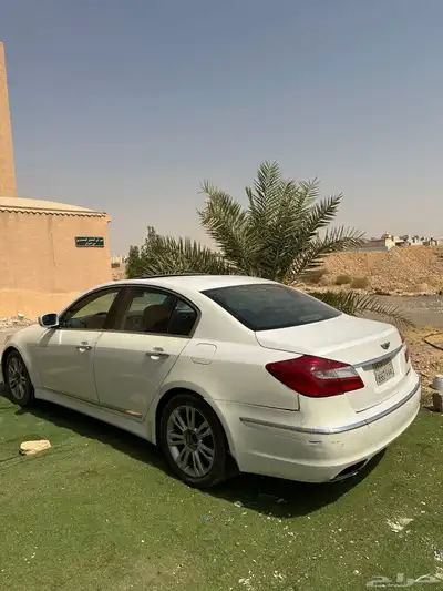 جنسس 13
