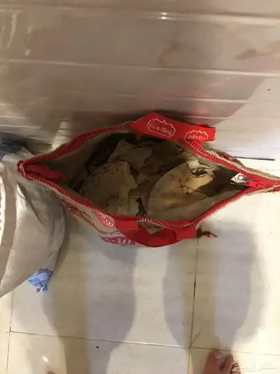 خبز جاف للحلال مجانا 1
