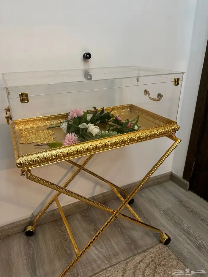 عربية شبكة 1