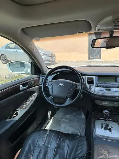 جنسس 8