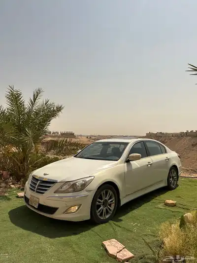 جنسس 16