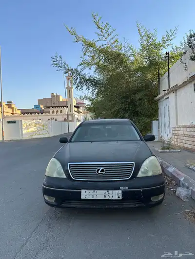 الطائف 2