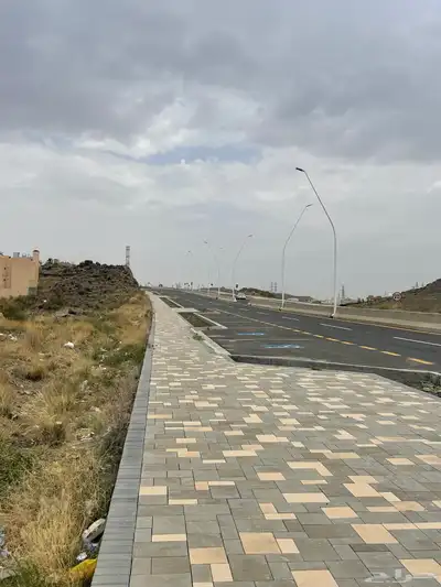 بعير فحل ضايع في المنسك 3