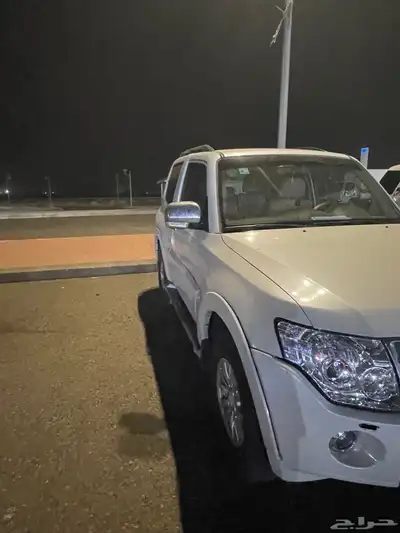 باجيرو ربع 2010 0