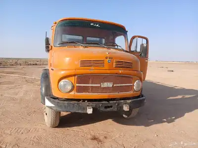 وايت حصناني مديل 76 بدون اوراق 1