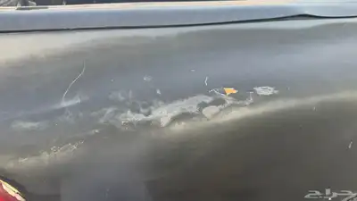 للبيع شفر مخصر اساس غماره 17
