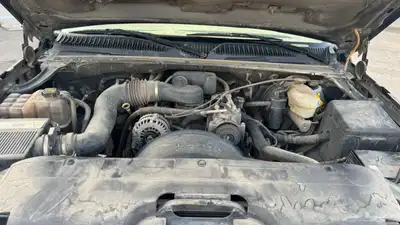 للبيع شفر مخصر اساس غماره 19