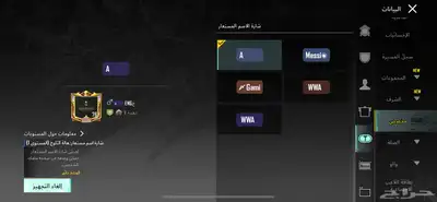 حساب ببجي للبيع 8
