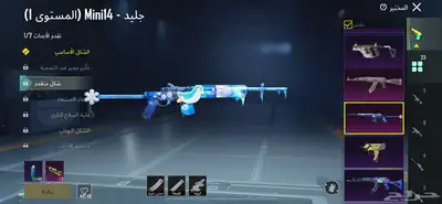 حساب ببجي للبدل 17