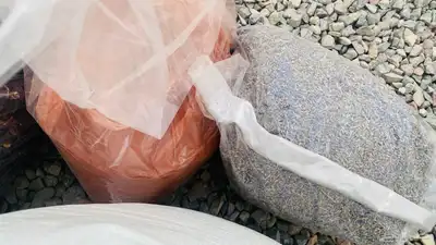 حناء وسدر 1