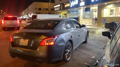 مكسيما 2010 2
