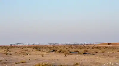 رشاش للبيع 0
