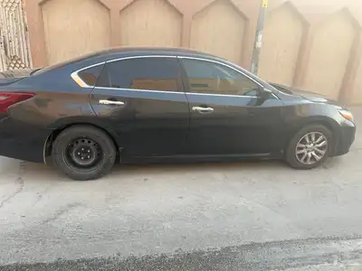 التيما 2018 نص فل 0