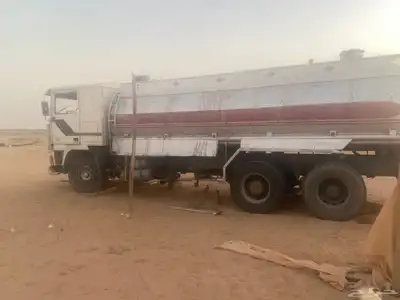 فلفو مديل 80 1