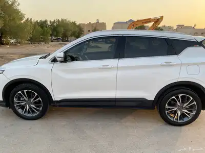 جيلي كولراي 2020 0