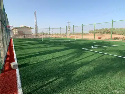 انجيلة ملاعب 12