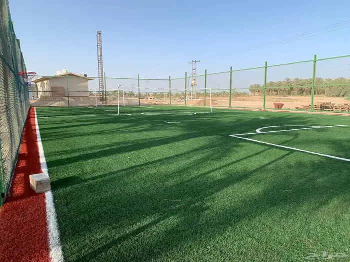 انجيلة ملاعب 12