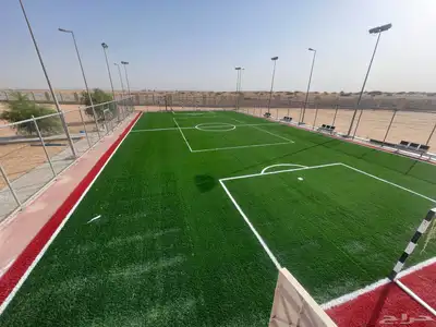 انجيلة ملاعب 11