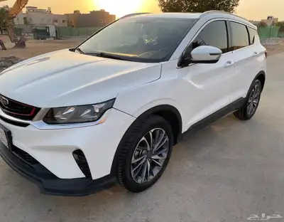 جيلي كولراي 2020 7