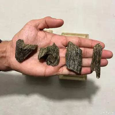 عود كلمنتان الازرق 0