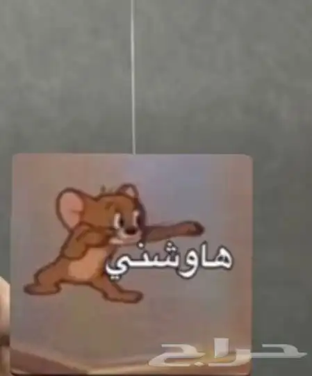 فستان ملكه فستان سهره براند 3