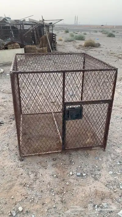 للبيع شبك 3