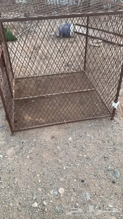 للبيع شبك 2