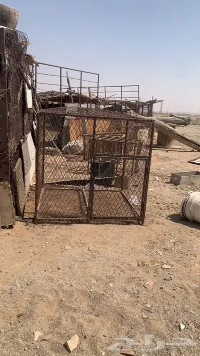 للبيع شبك 1