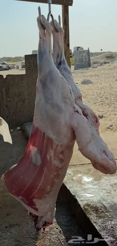 ذبايح 3