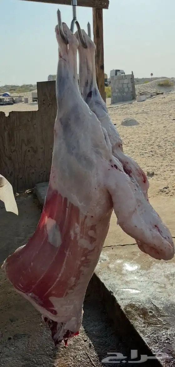 ذبايح 3