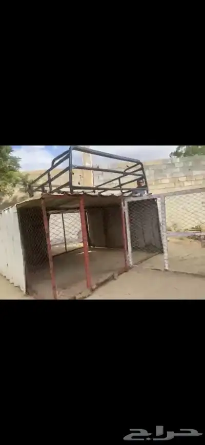يوجد لدي شبك دجاج 1