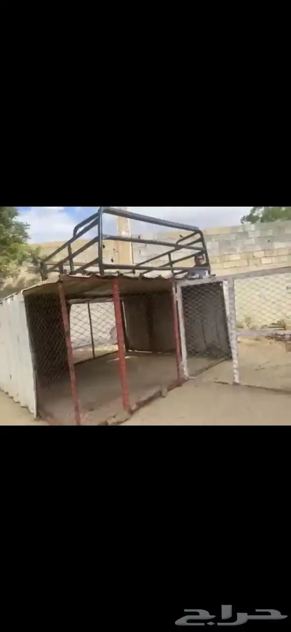 يوجد لدي شبك دجاج 1