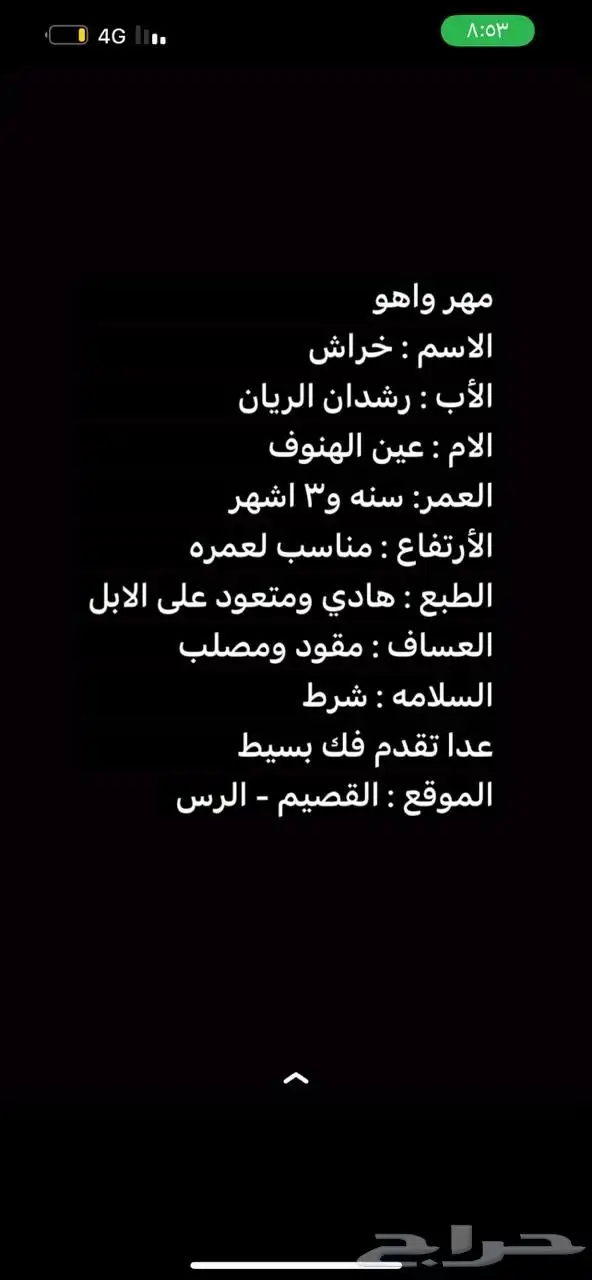 مهر خيل واهو للبيع index