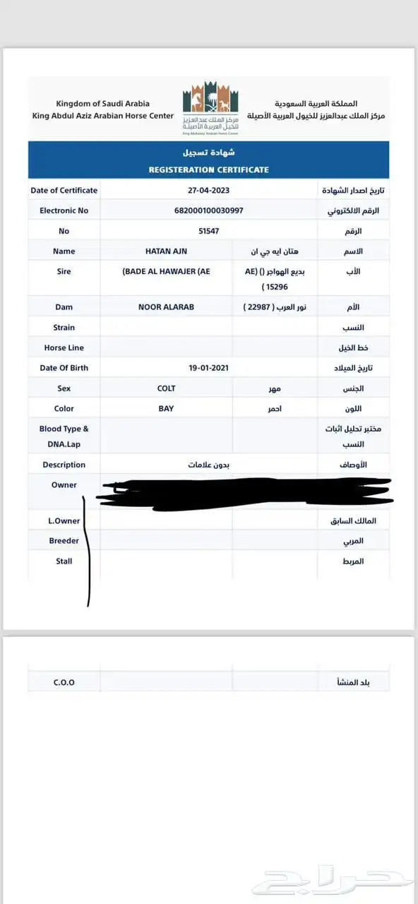 حصان index
