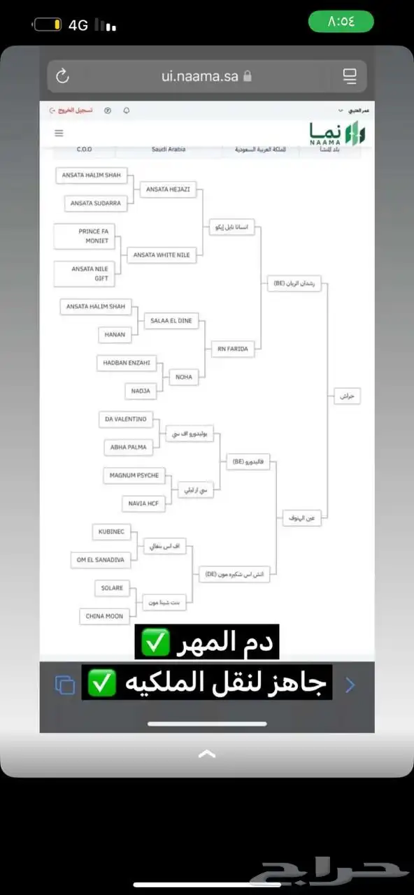مهر خيل واهو للبيع index