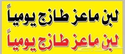 لبن ماعز طازج يوميا 0