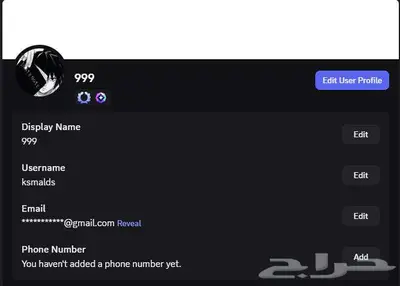 يوزر ديسكورد ب معنى 1