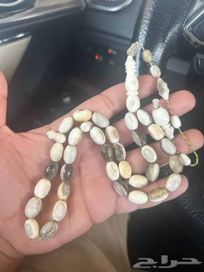 مسباح قرن غزال الأيل 0