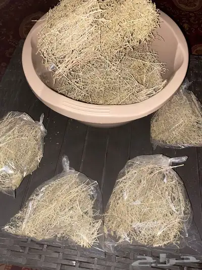 شيح 0