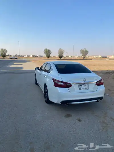 التيما 0