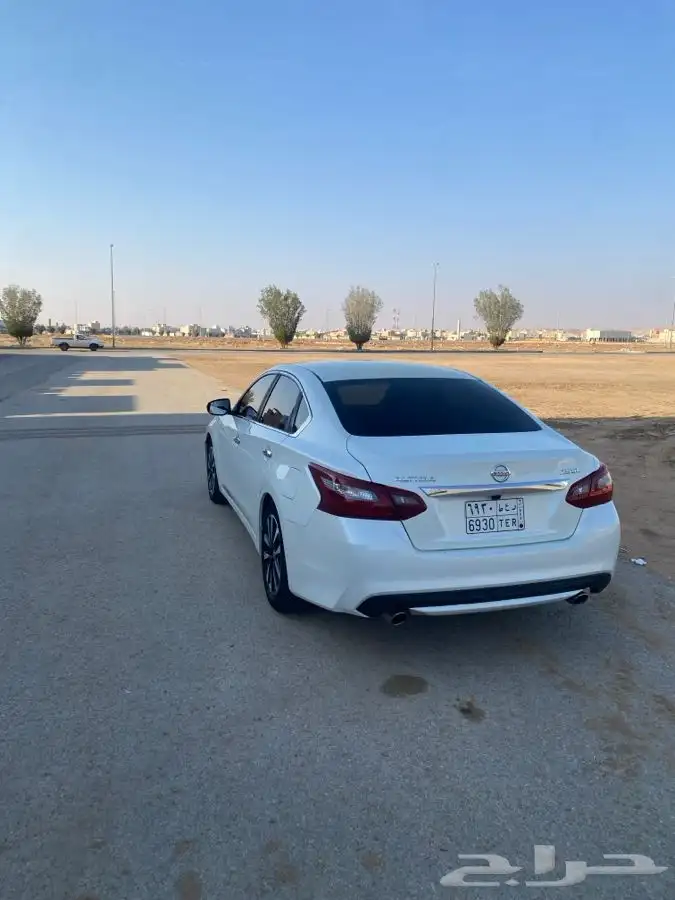 التيما 0