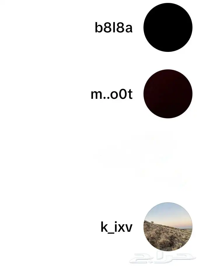 يوزرات تيك توك 0